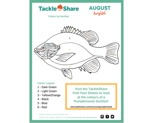 August 2021 – Sunfish