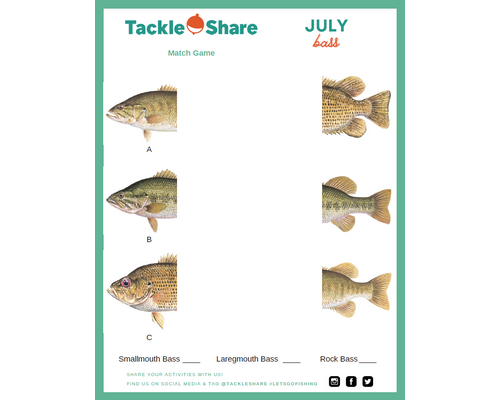 July 2021 – Bass