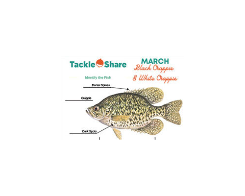 OFAH TackleShare Resources & Activities - Black Crappie & White Crappie