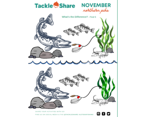 November 2021- Northern Pike