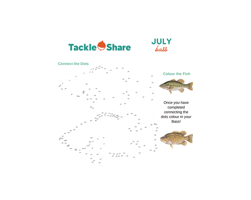July 2021 – Bass
