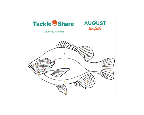 August 2021 – Sunfish