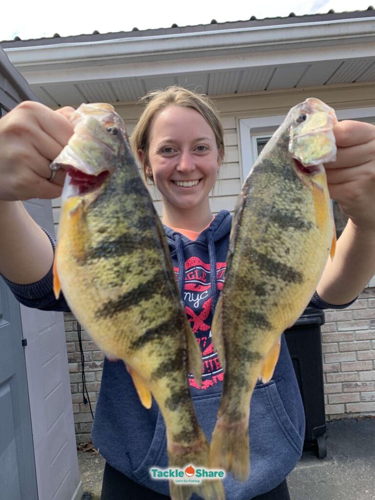 Lake best sale erie perch