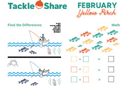 OFAH TackleShare Resources & Activities - Yellow Perch