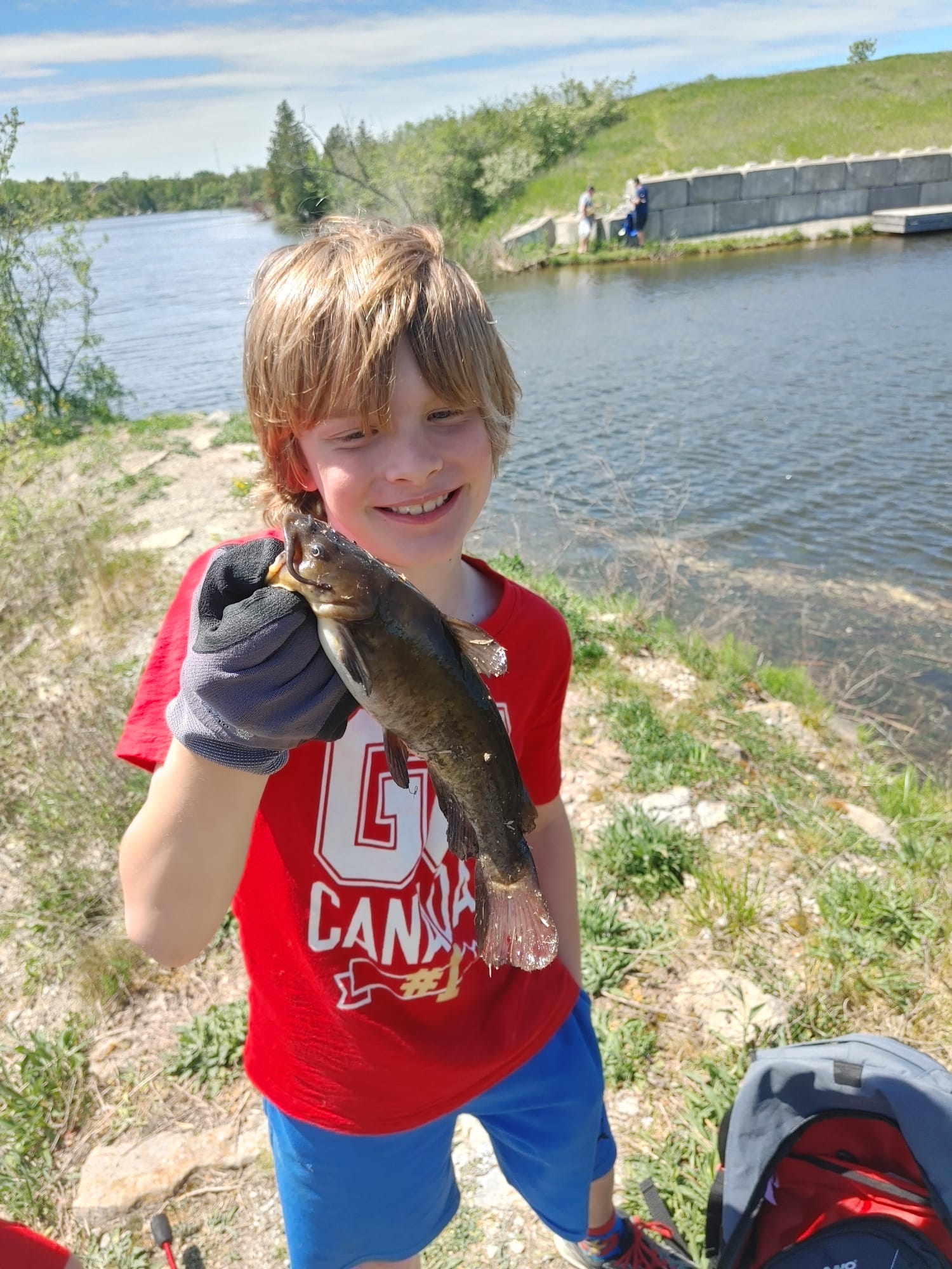 Catfish on Scugog river