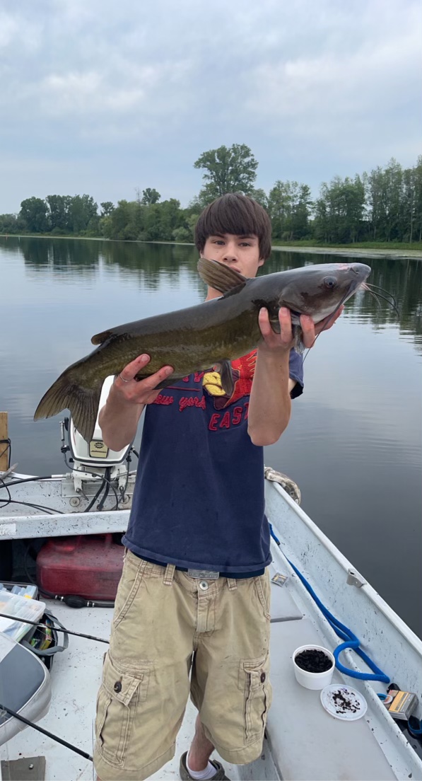 Catfish lakes shop