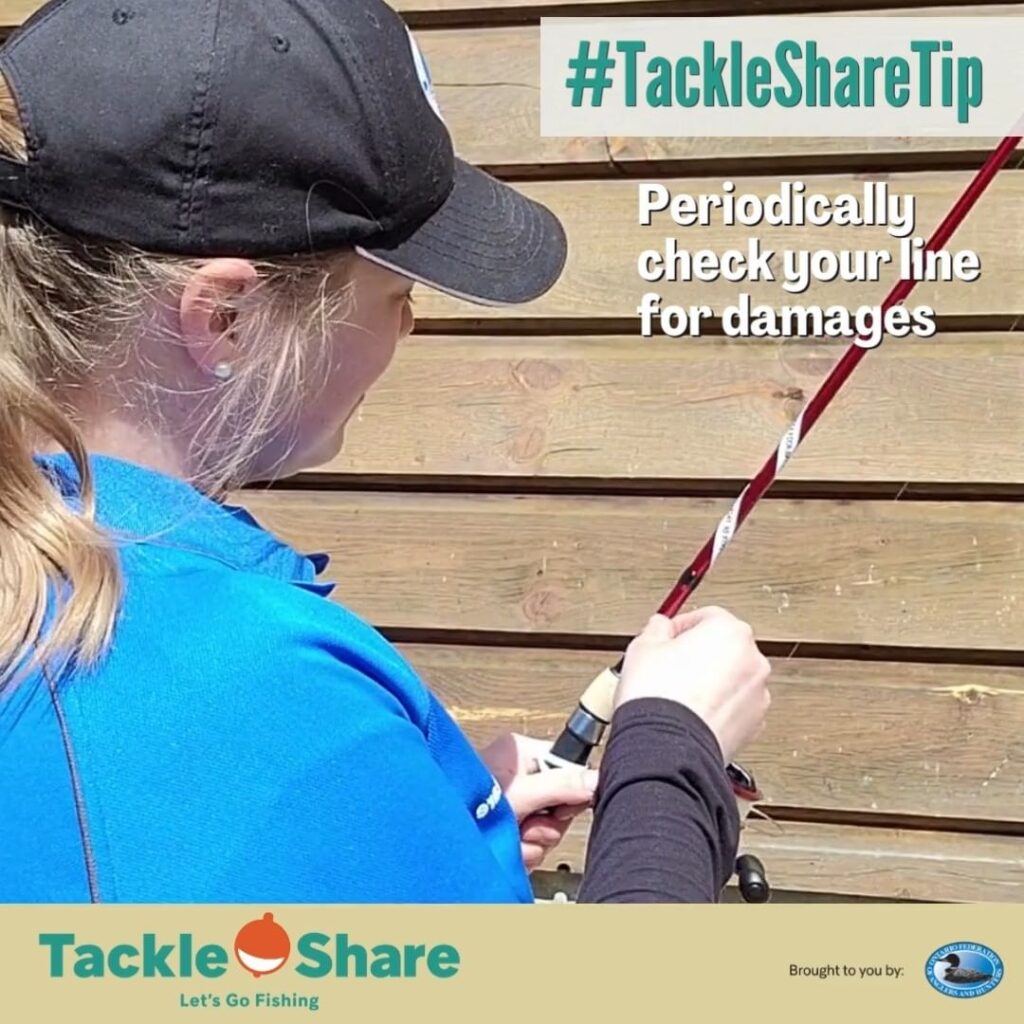 Periodically Check Your Line for Damage | TackleShare Tips