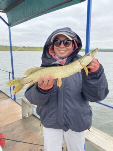 Northern Pike  OFAH TackleShare