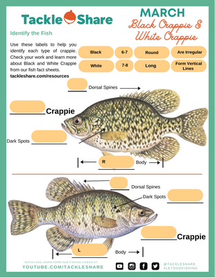 March 2023 – Black & White Crappie