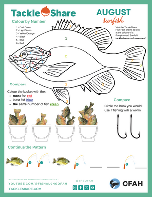 August – Sunfish