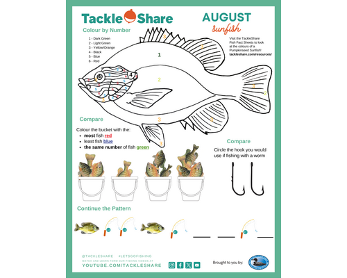 August – Sunfish