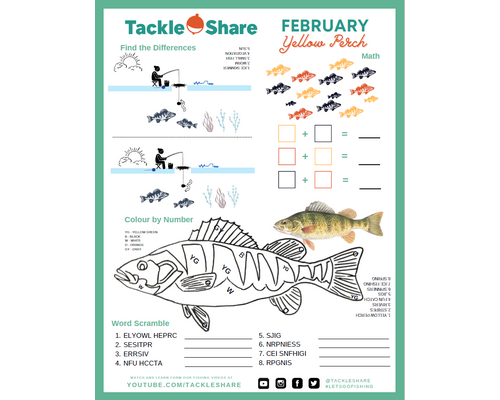 February 2022 – Yellow Perch