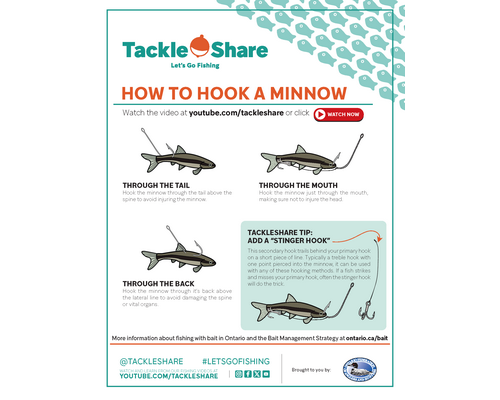 How to Hook a Minnow