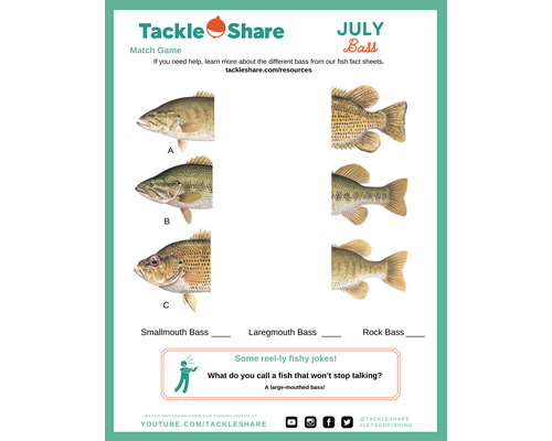 July 2022 – Bass