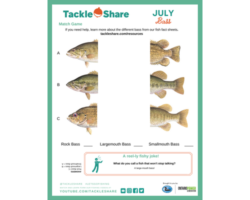 July 2023 – Bass