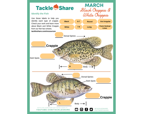 March 2023 – Black & White Crappie
