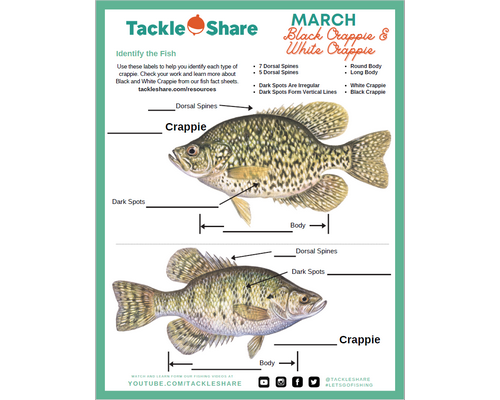 March 2022 – Black & White Crappie