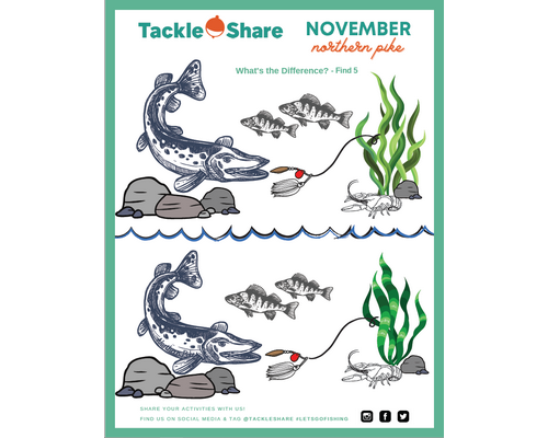 November 2021- Northern Pike