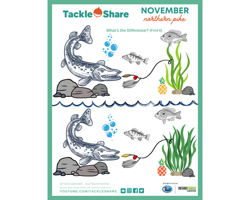 November 2023 – Northern Pike