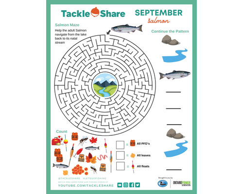 September 2023 – Salmon