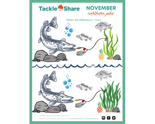 November – Northern Pike