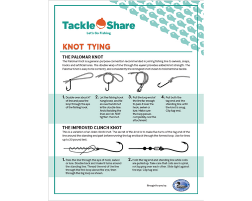 Knot Tying